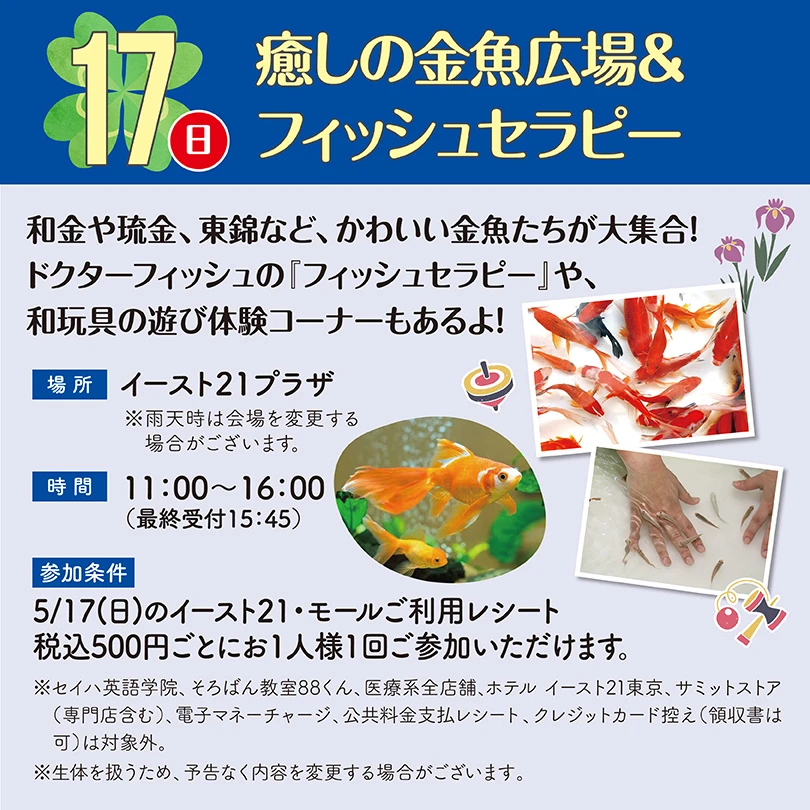 癒しの金魚広場&フィッシュセラピー