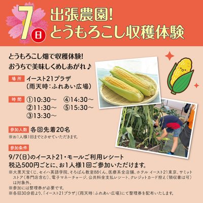 出張農園！とうもろこし収穫体験